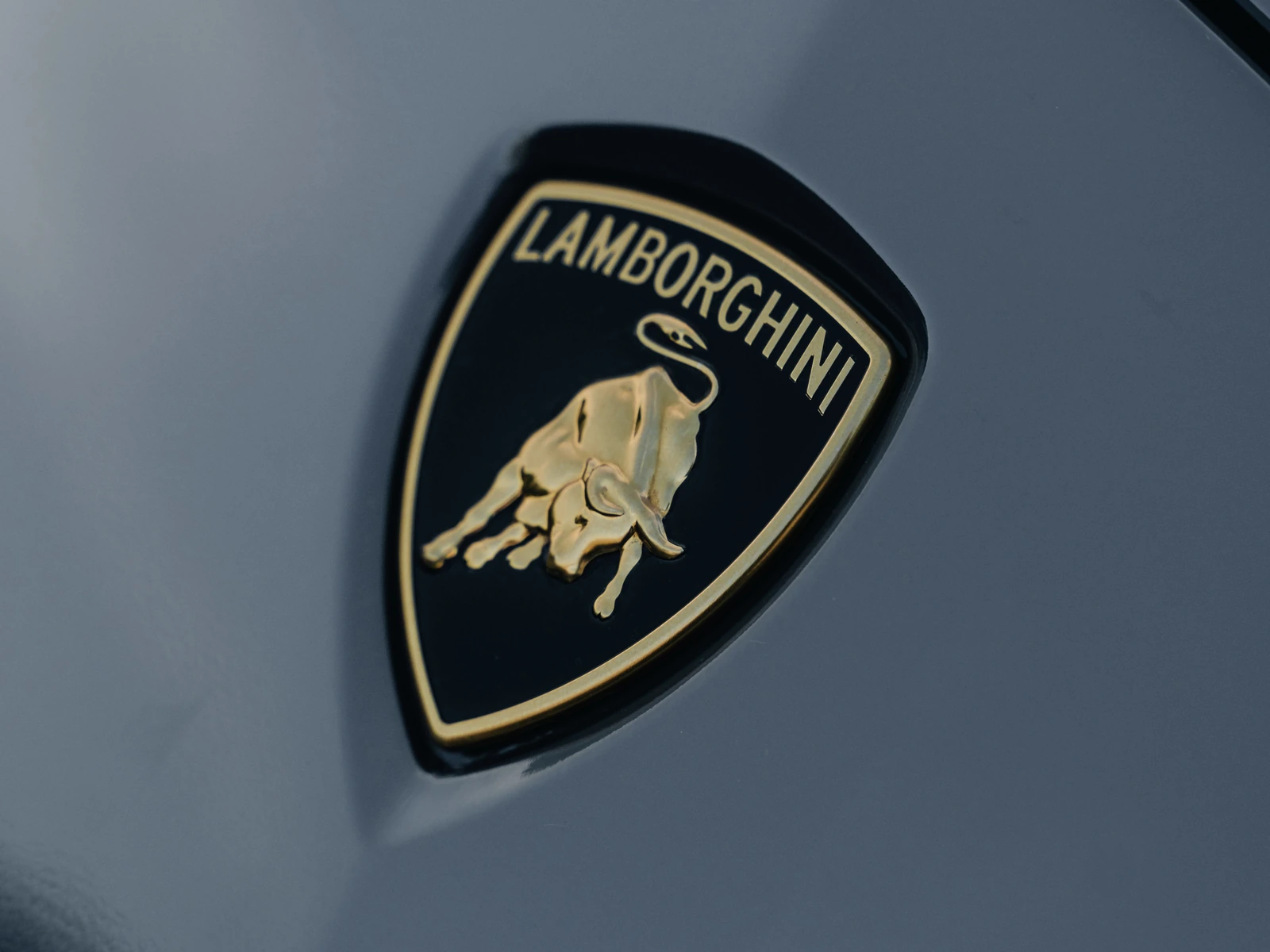 Lamborghini Urus Gloss Dark Grey — photo 5 — Hussle Customz Los Angeles