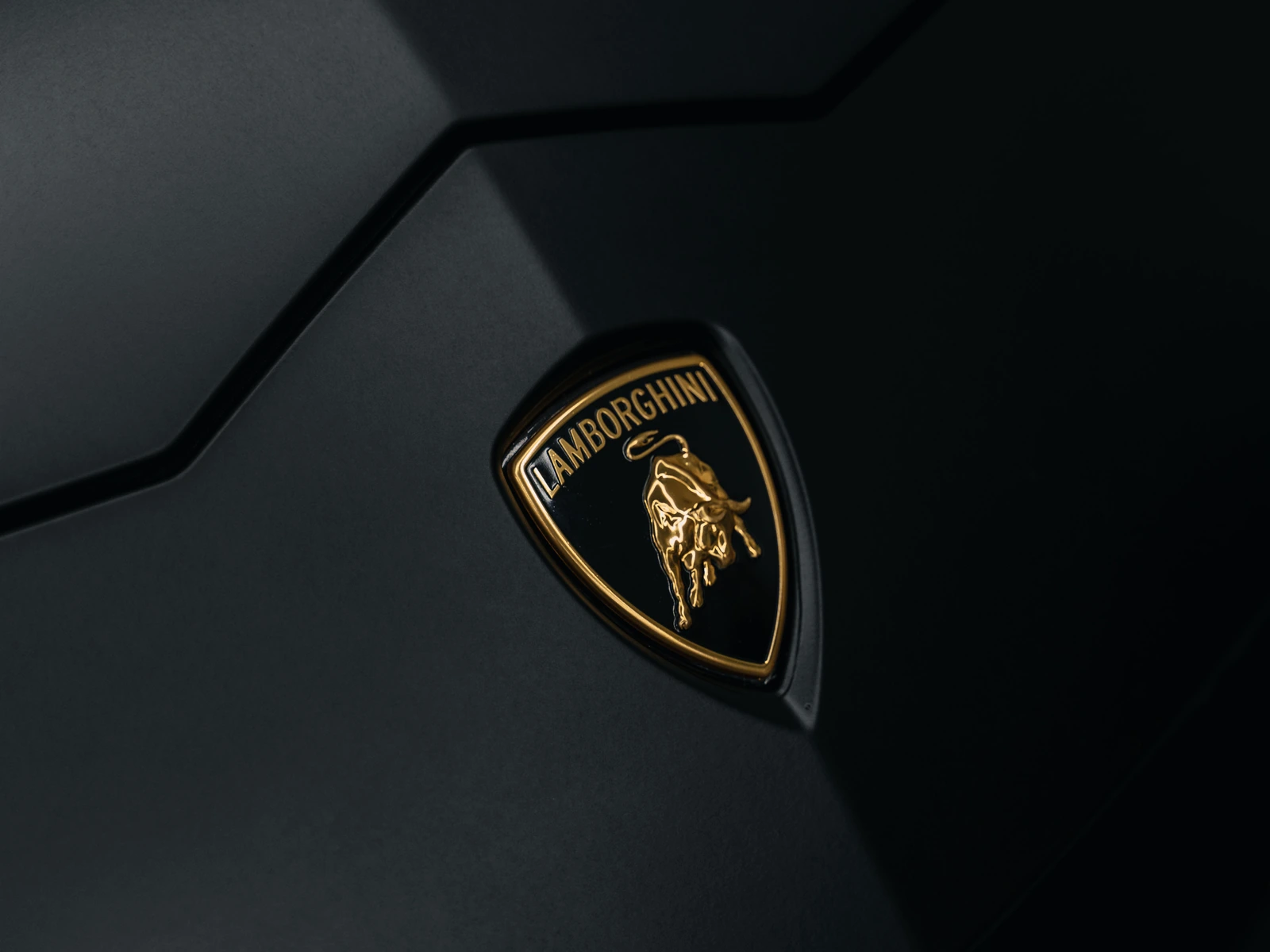 Lamborghini Urus Matte Black Vinyl Wrap — photo 5 — Hussle Customz Los Angeles